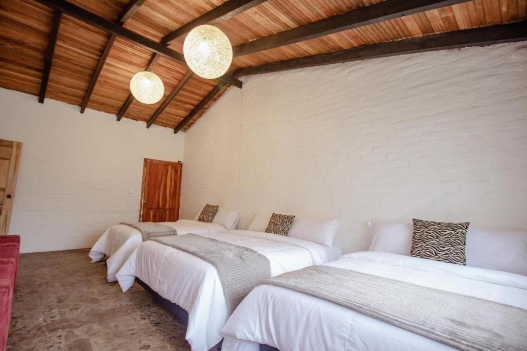 バーニョス Rustic Quinta La Aurora Bed & Breakfast エクステリア 写真